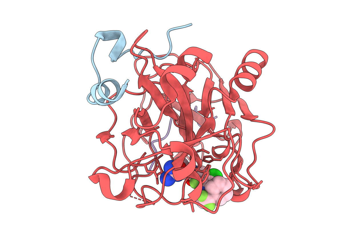 2R2M image