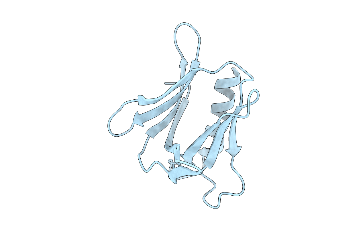 2R2Y image