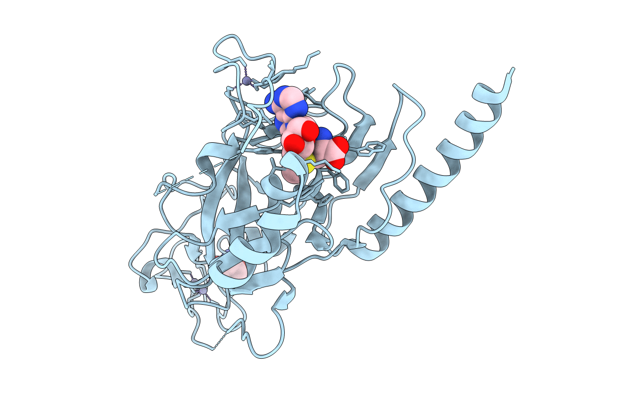 2R3A image