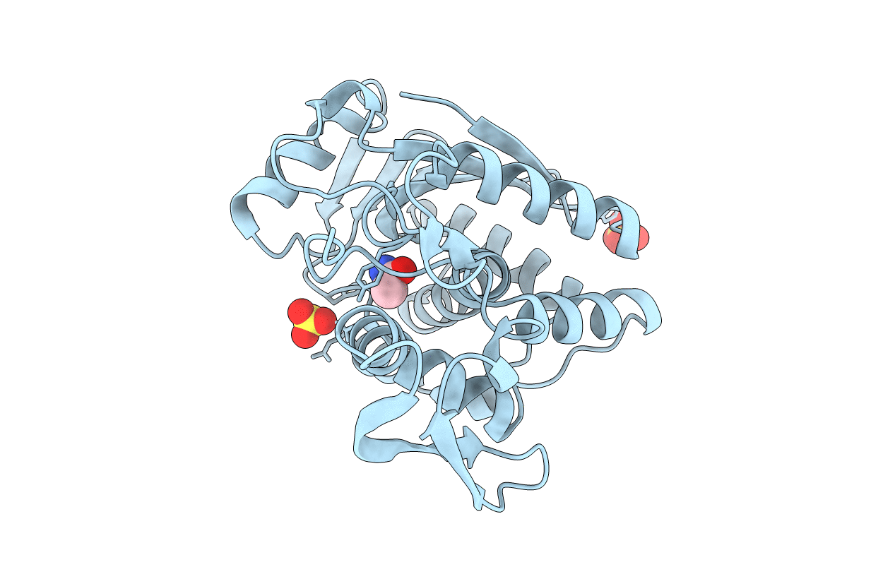 2R3D image