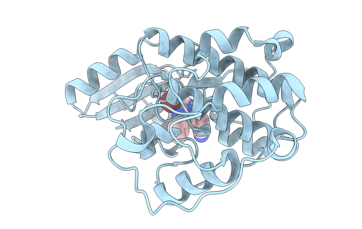 2R3J image