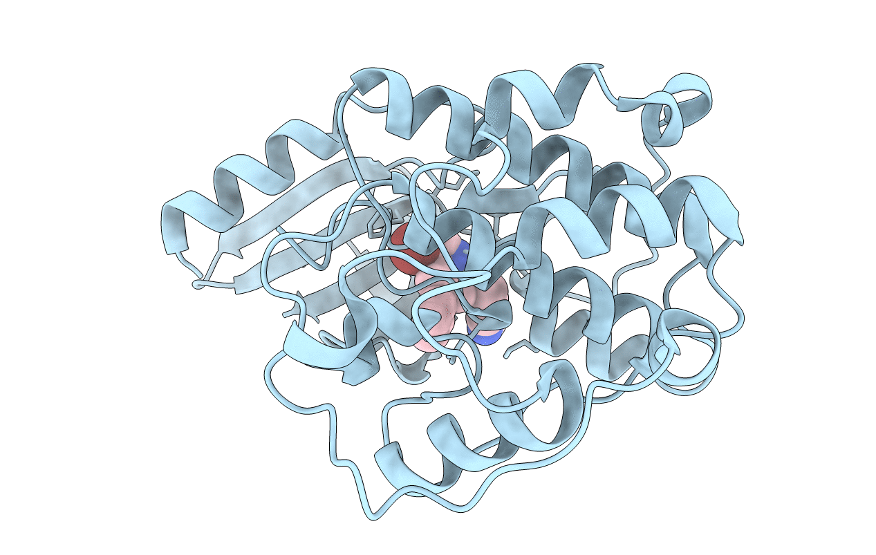 2R3K image