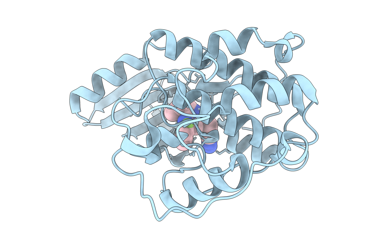 2R3M image