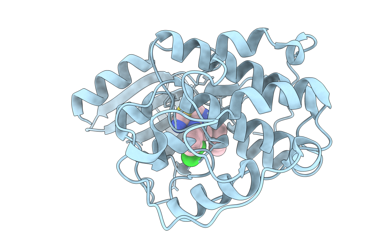 2R3P image