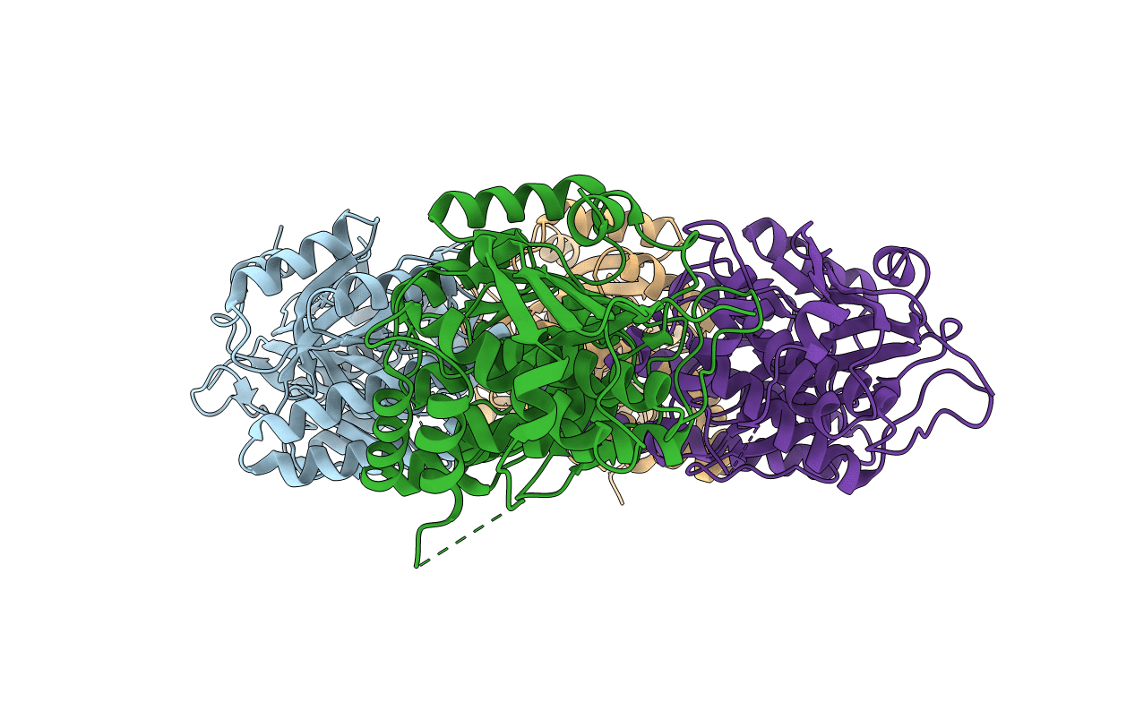 2R3V image