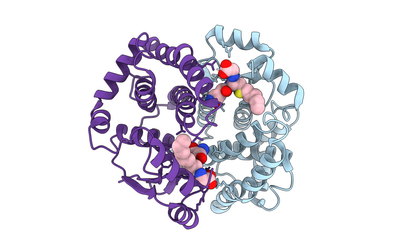 2R3X image