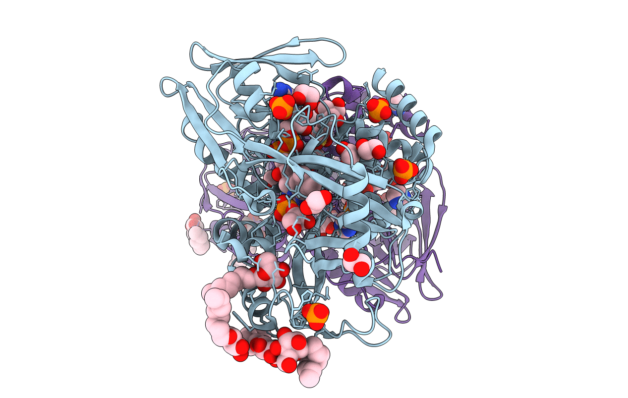 2R45 image