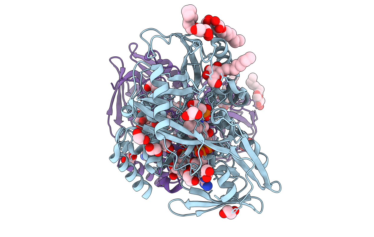 2R46 image