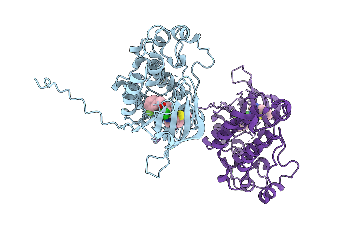 2R4B image