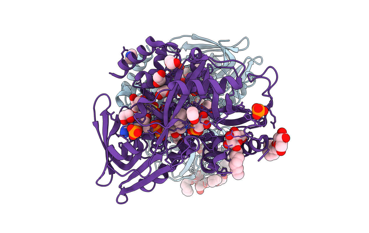 2R4E image