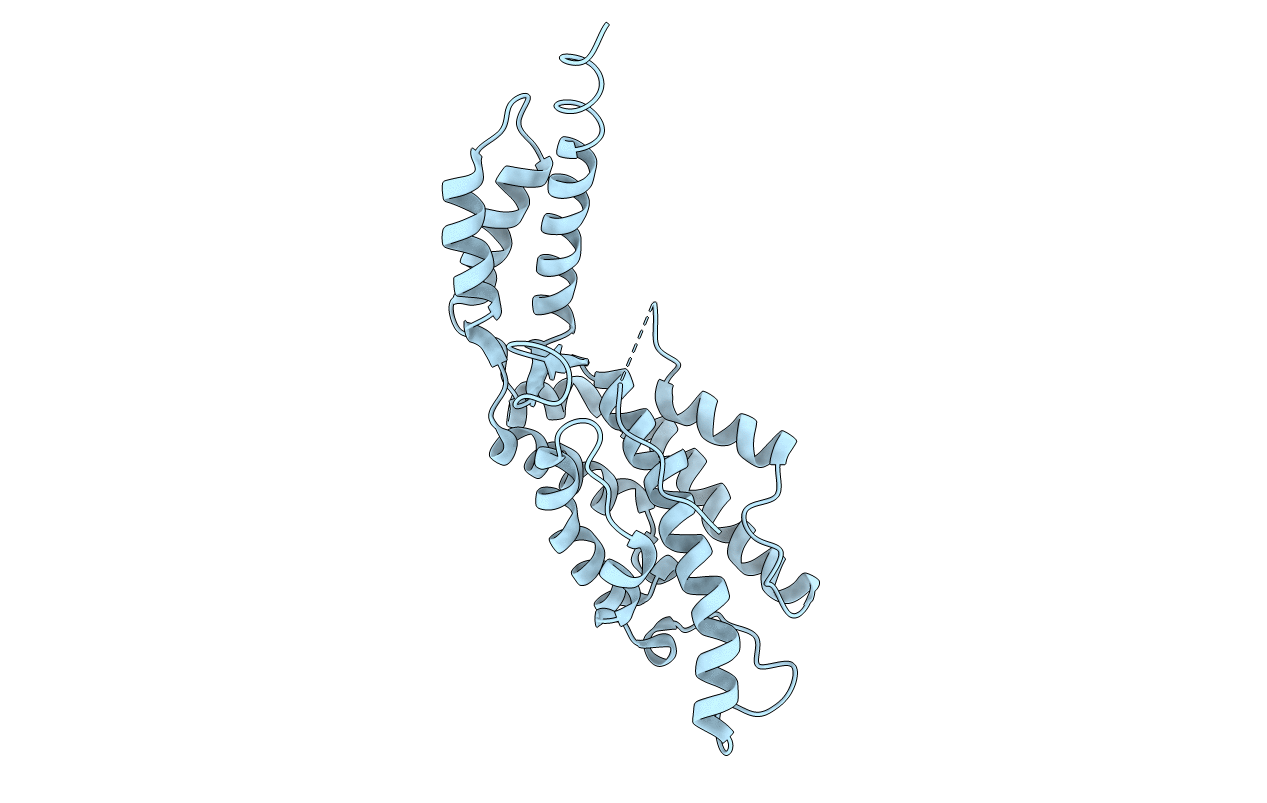 2R4G image