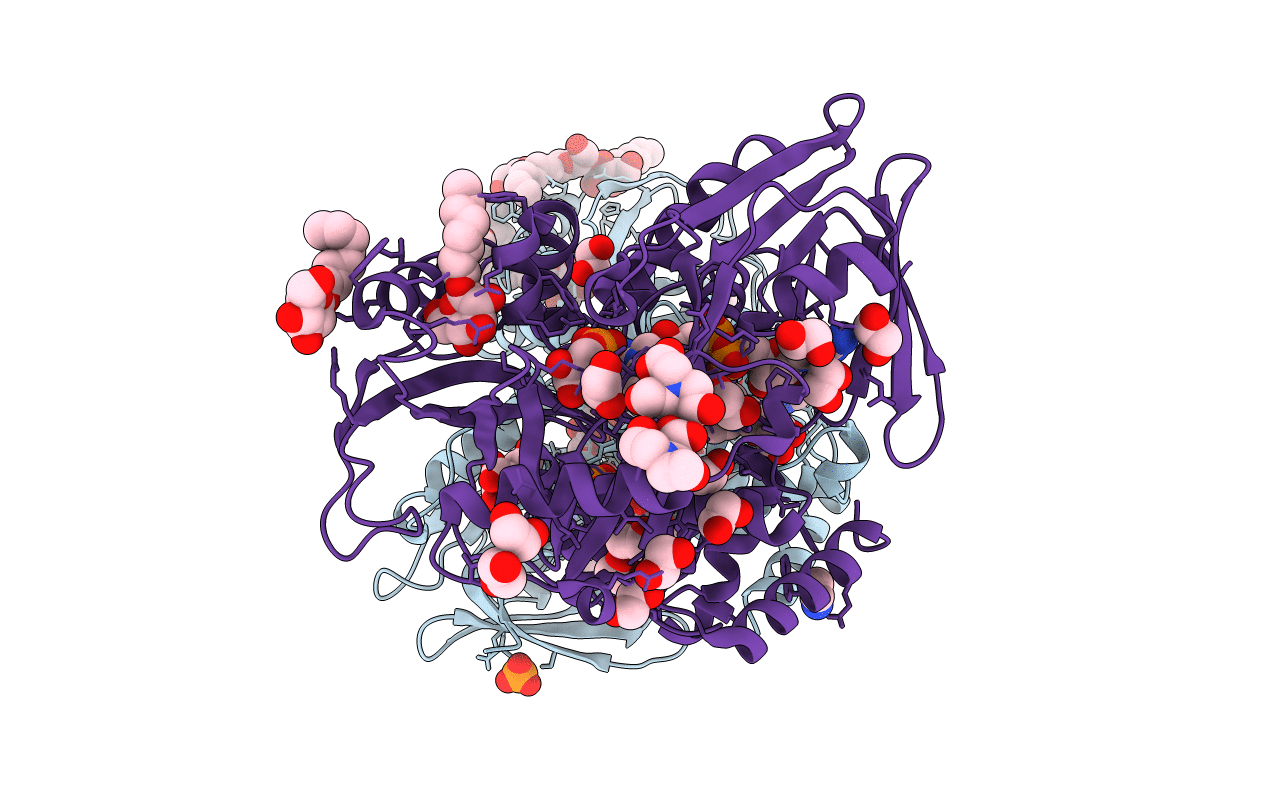 2R4J image