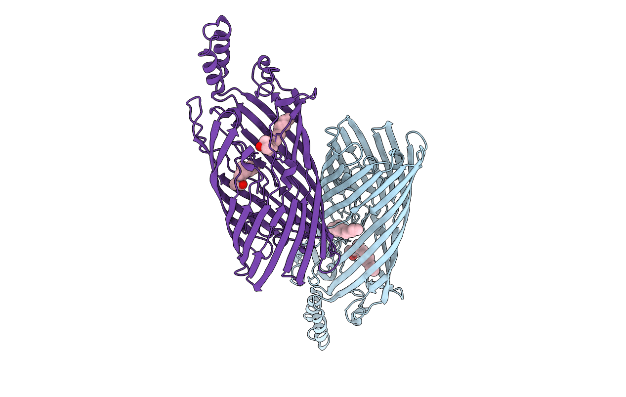 2R4O image