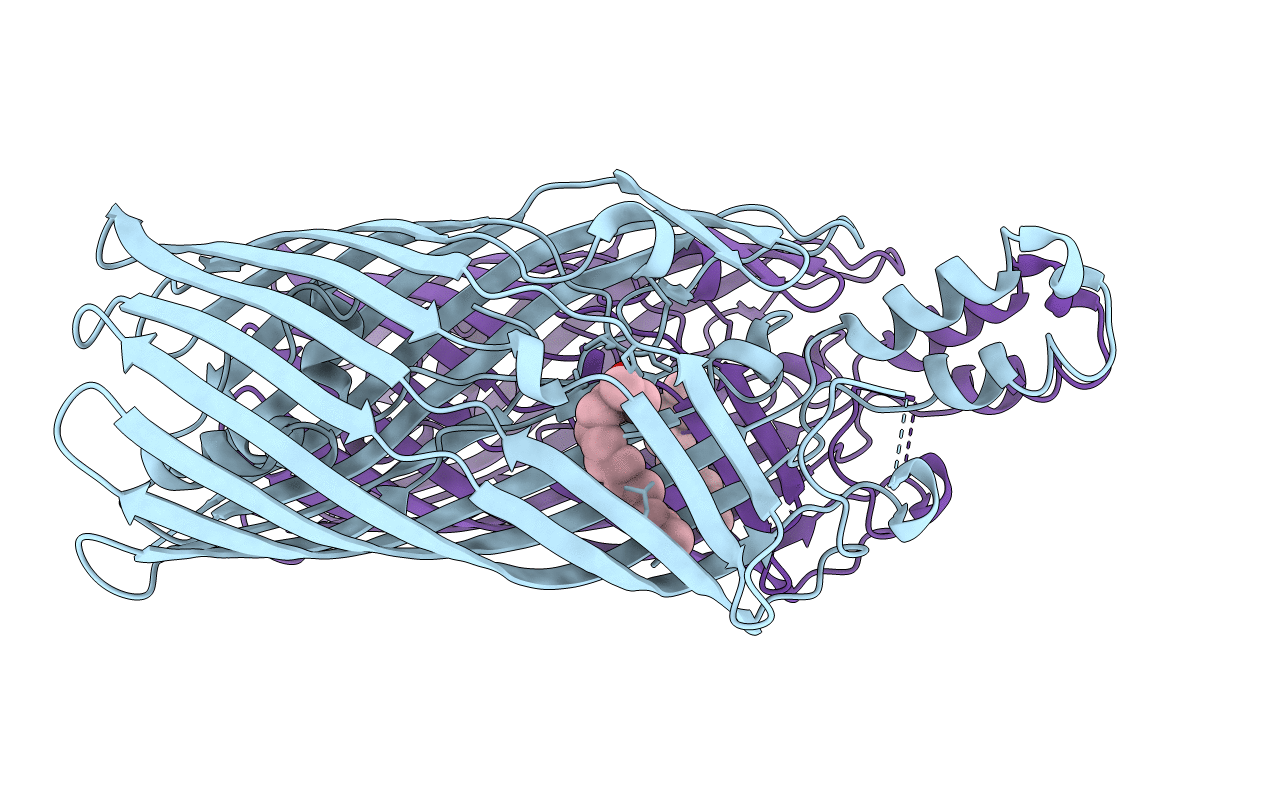 2R4P image