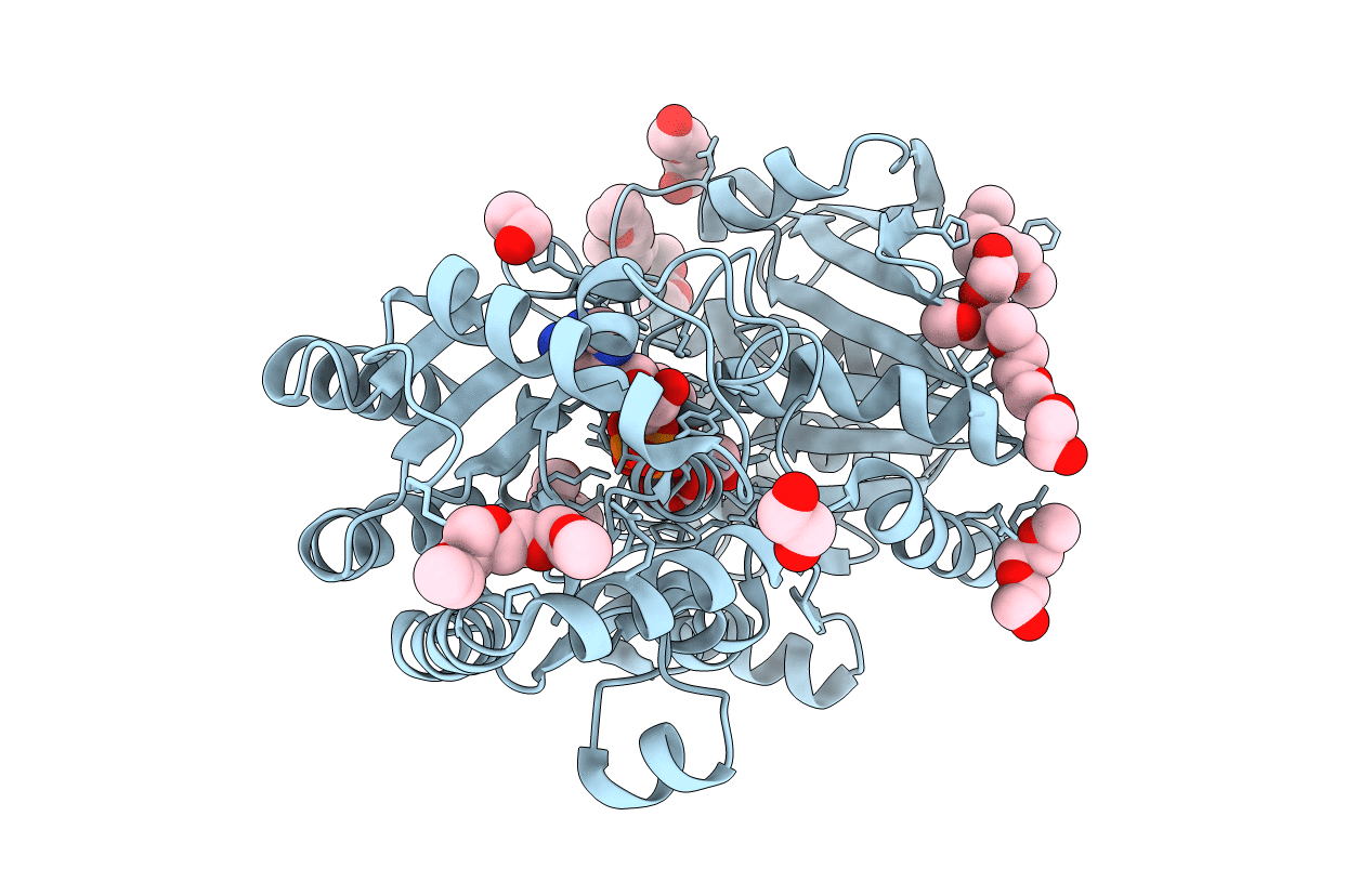 2R4T image