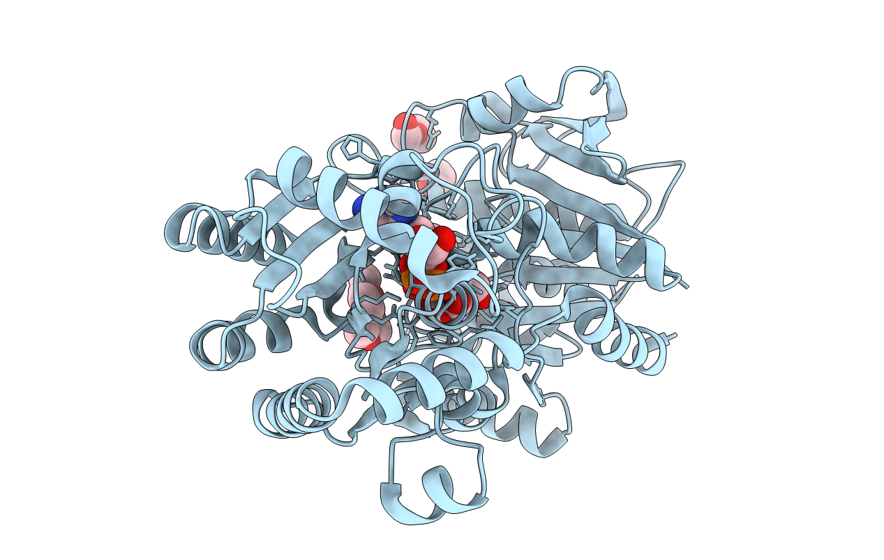 2R4U image