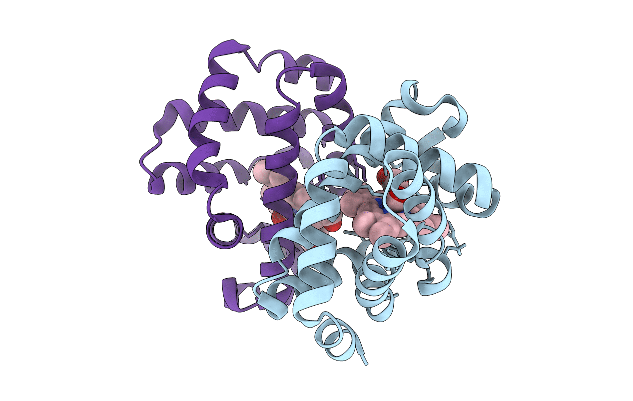 2R4X image