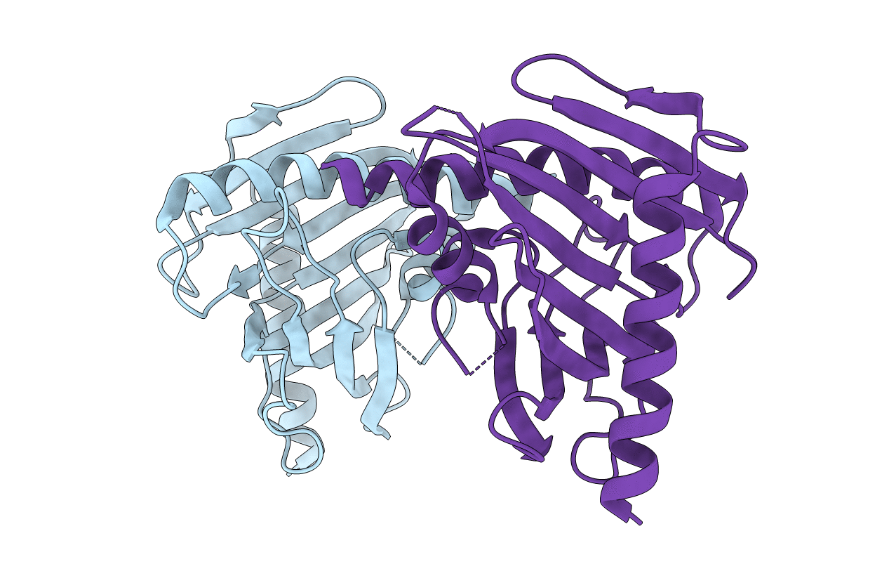 2R55 image