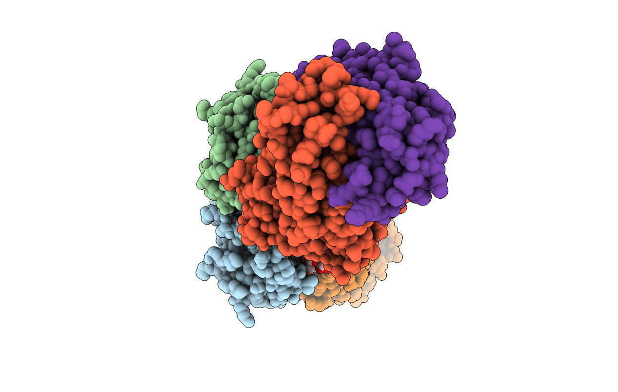 2R56 image