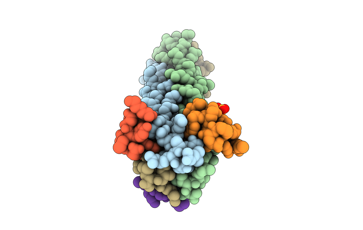 2R5B image