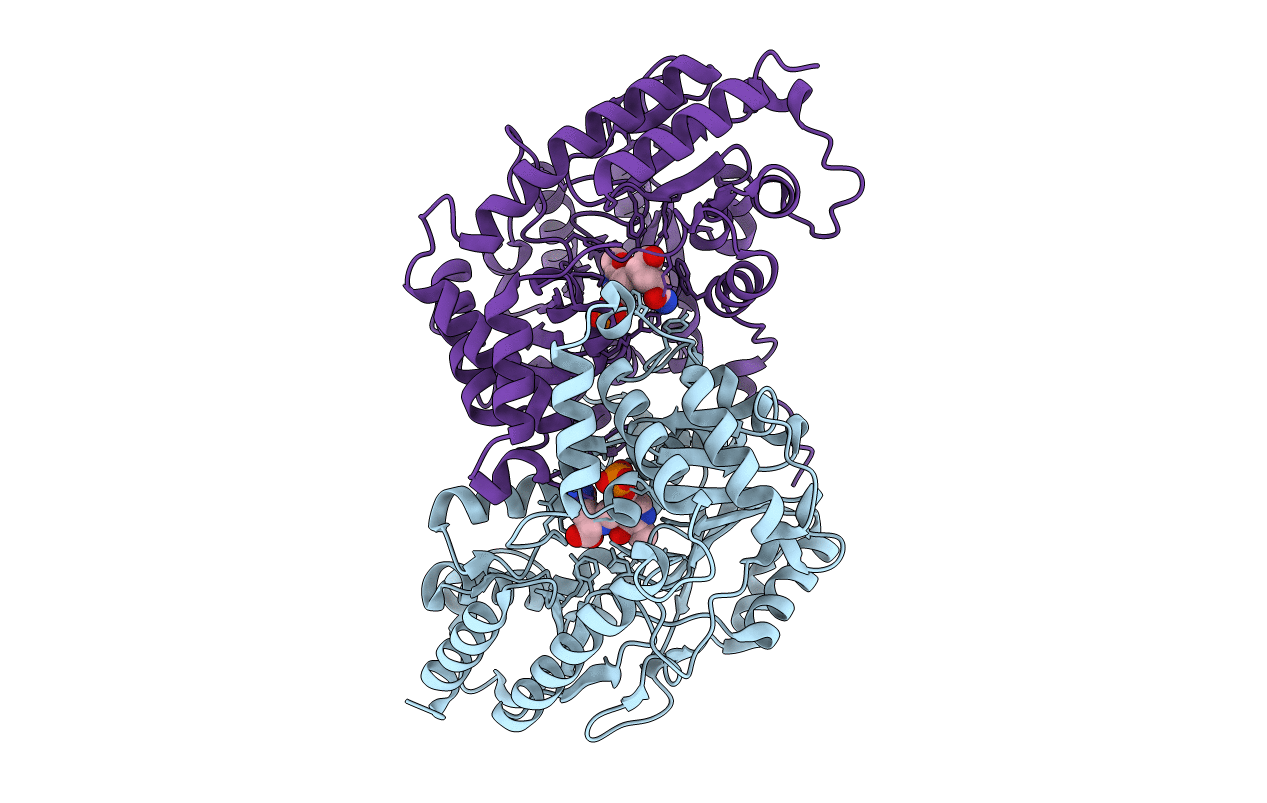2R5E image
