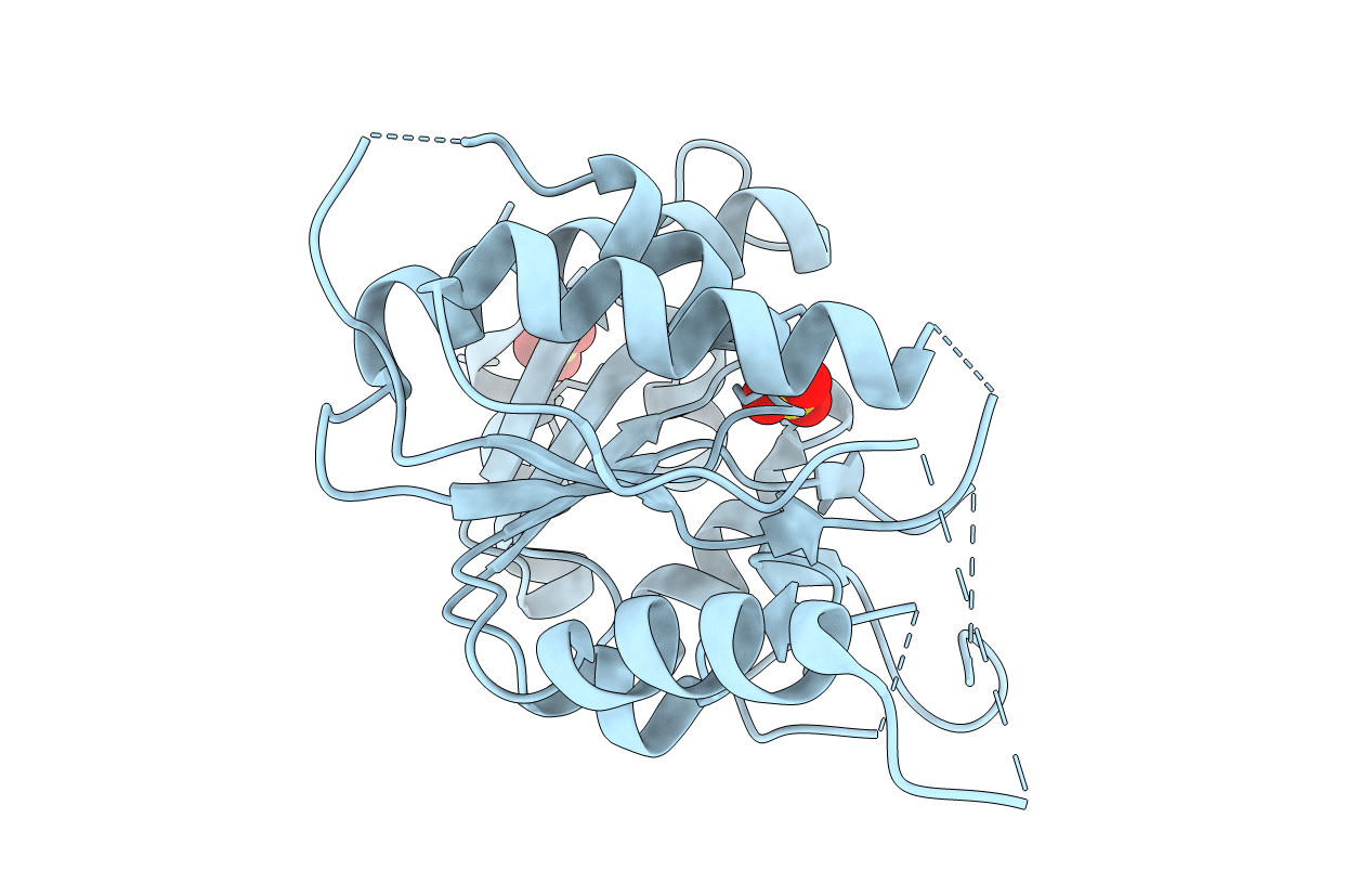 2R5F image