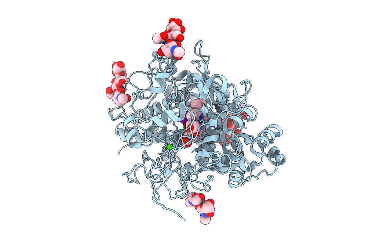 2R5L image