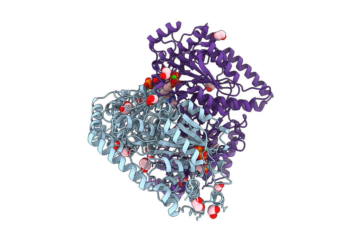 2R5N image
