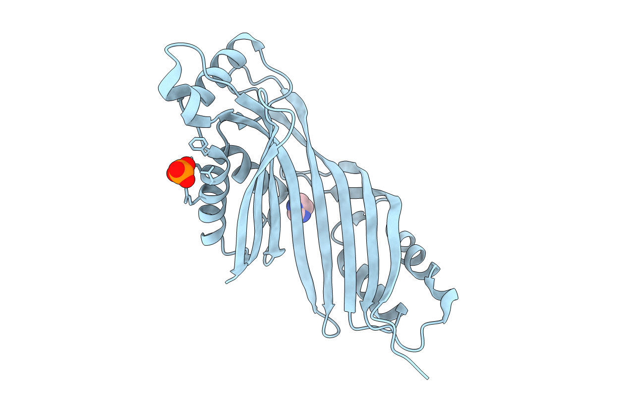 2R5R image