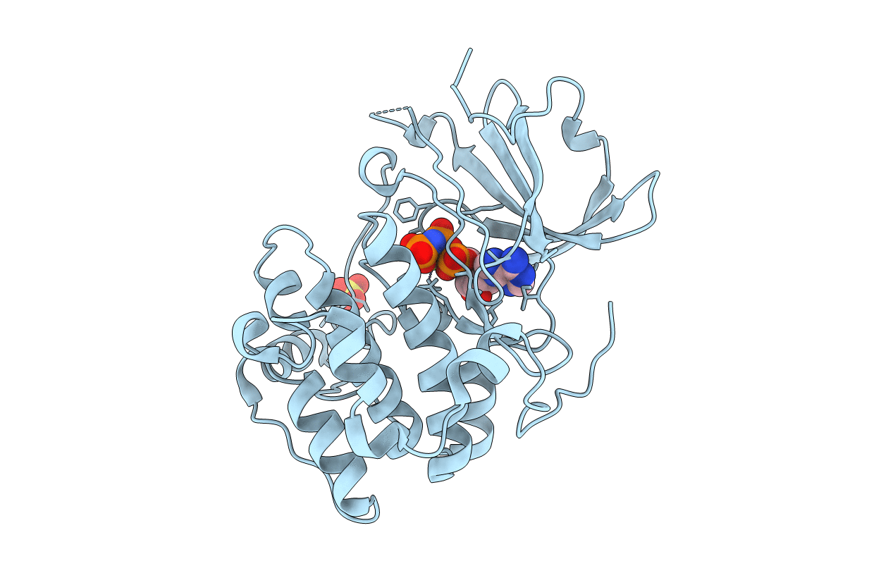 2R5T image