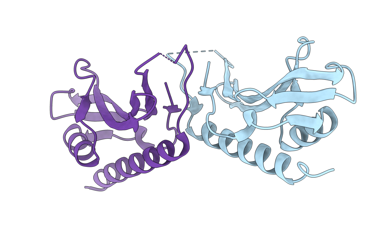 2R5X image