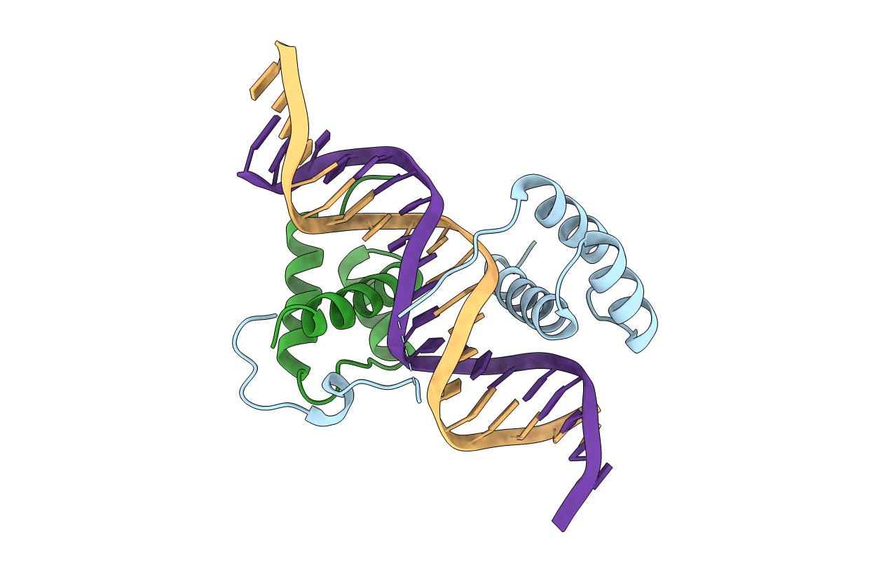 2R5Z image