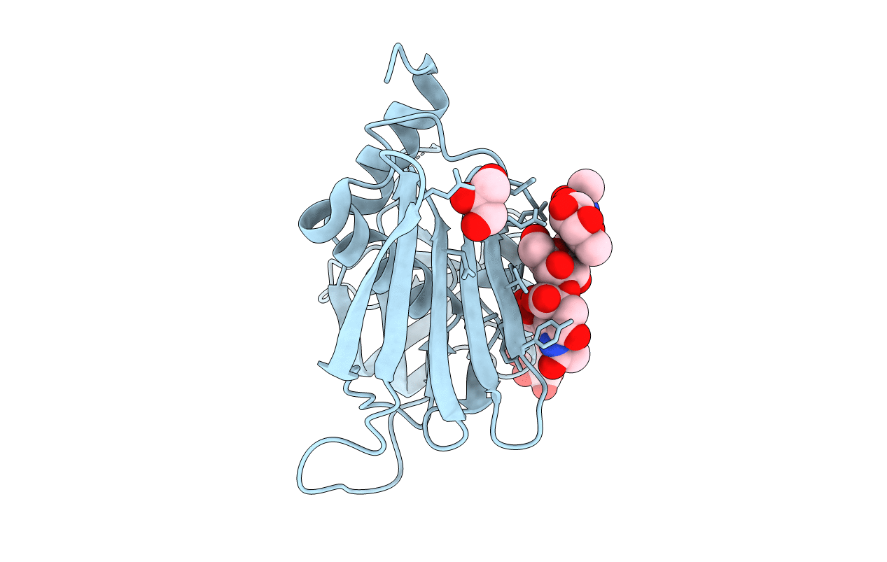 2R61 image
