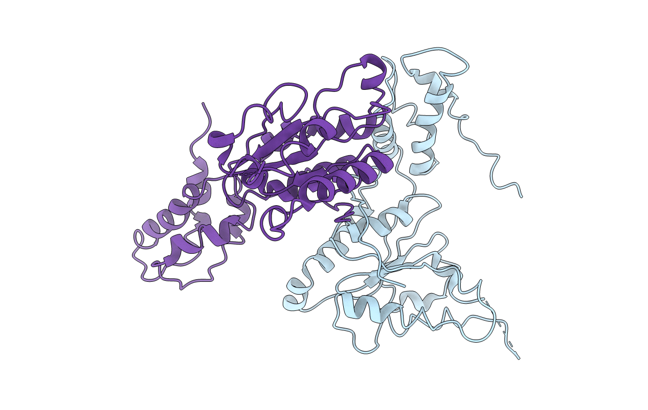 2R62 image