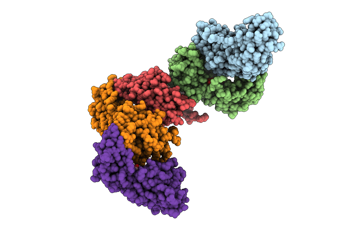 2R65 image