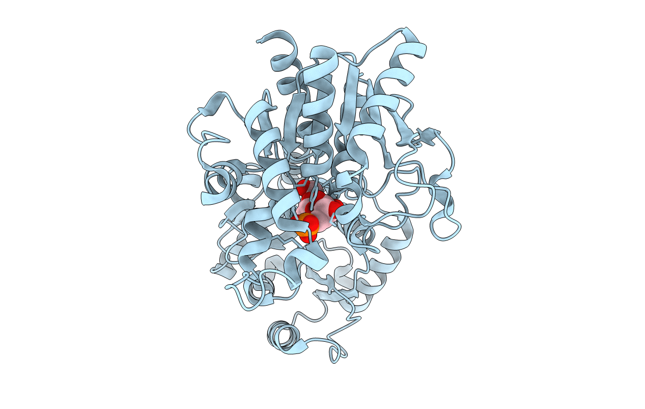 2R68 image