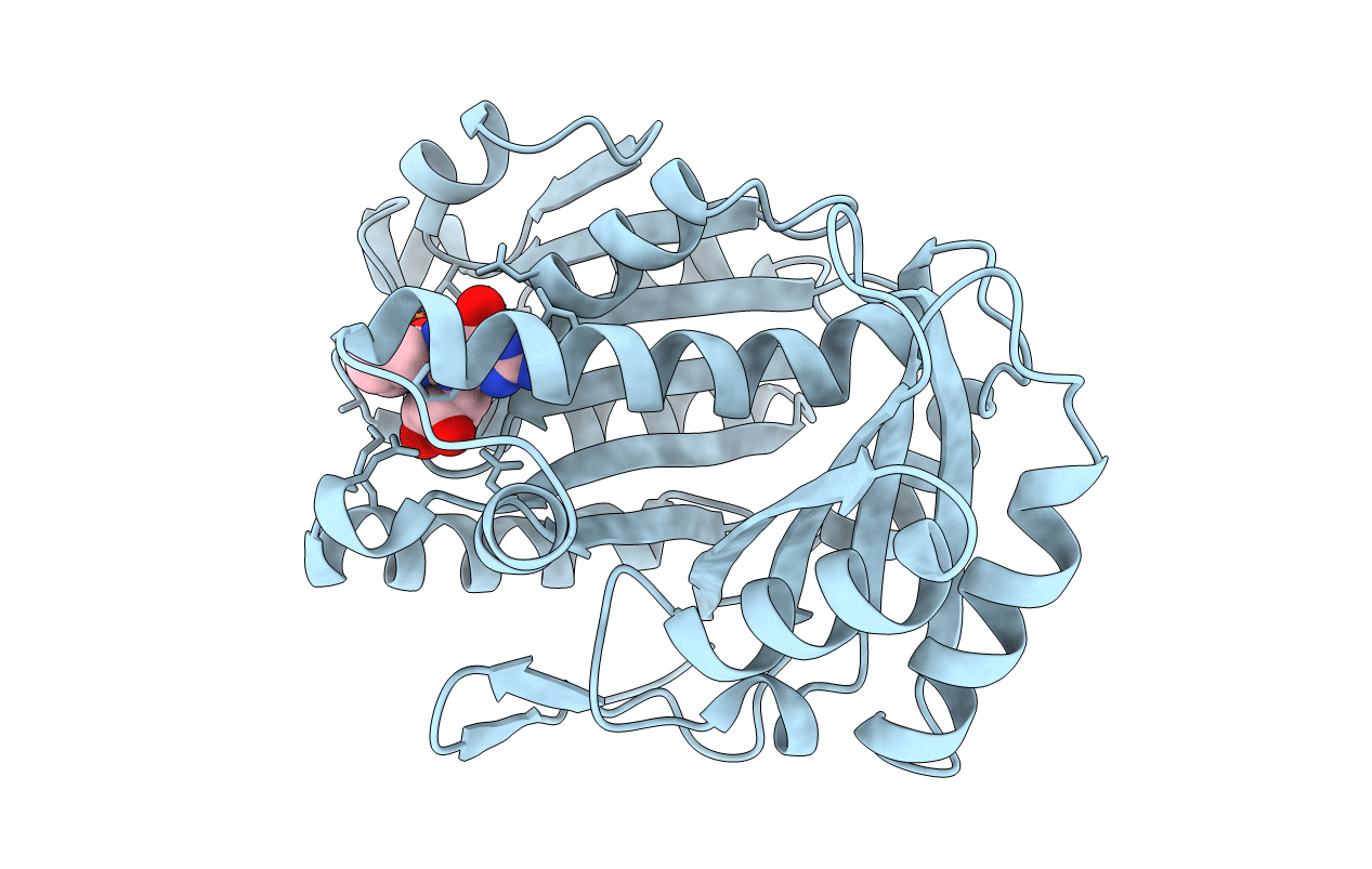 2R75 image