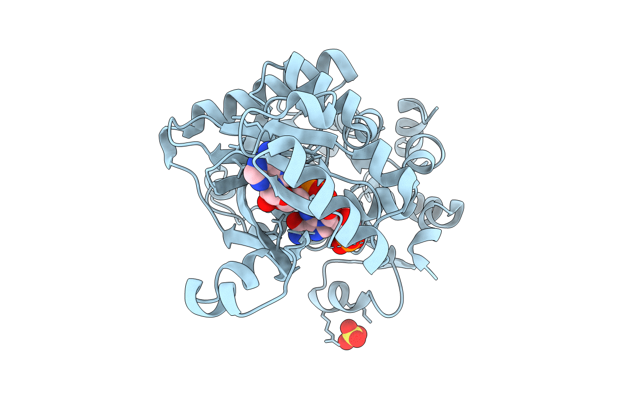 2R7K image