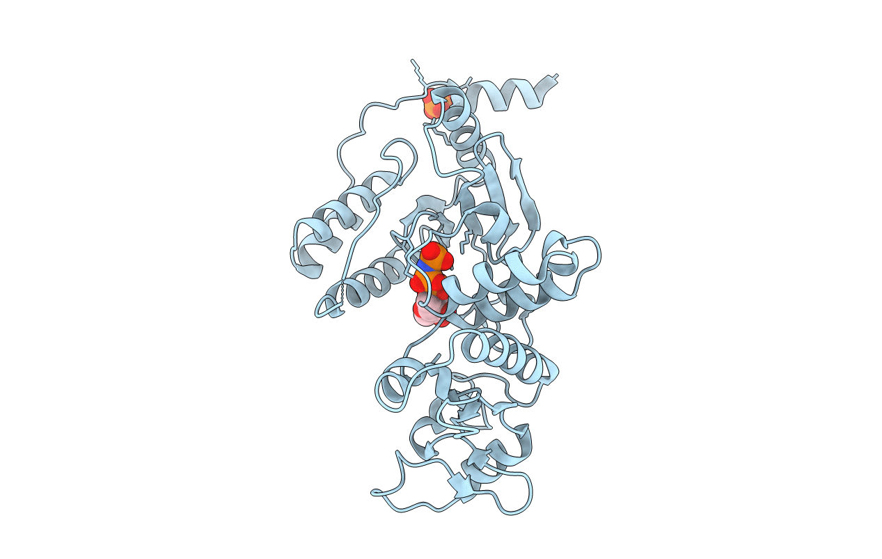 2R7P image