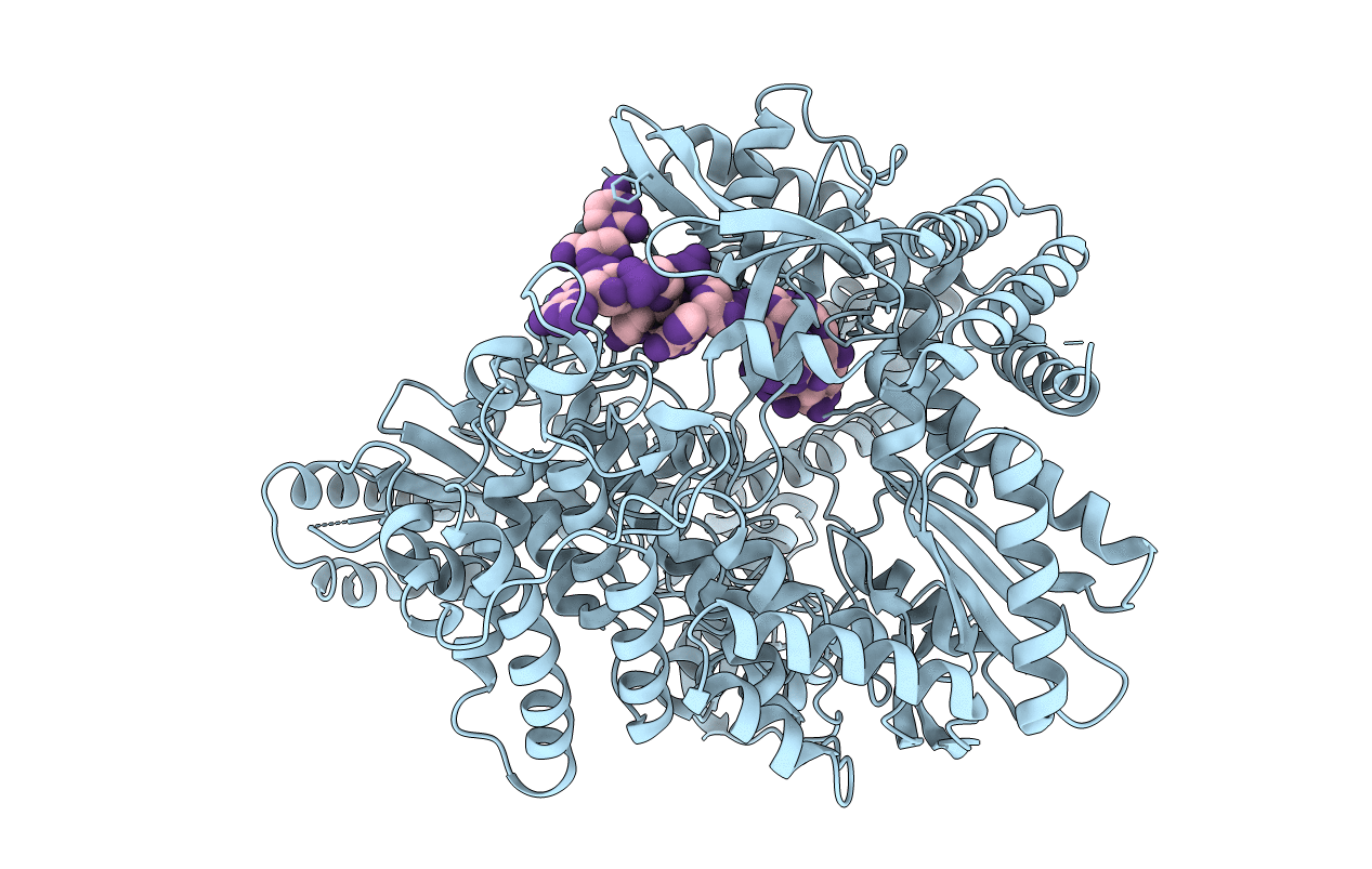 2R7R image