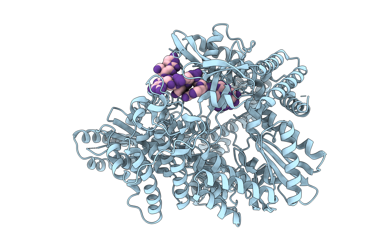 2R7S image