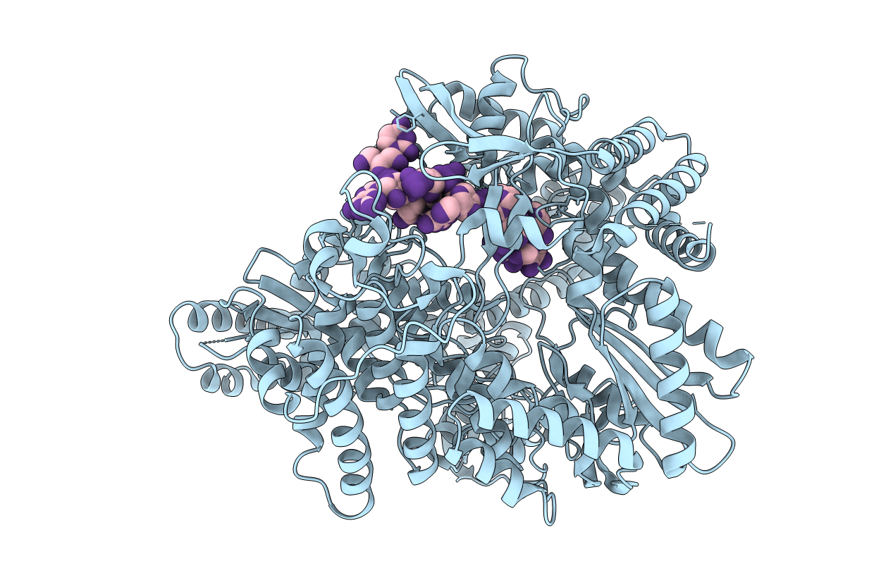 2R7T image