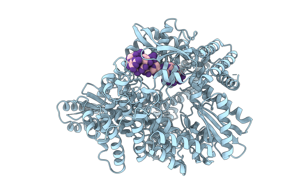 2R7V image