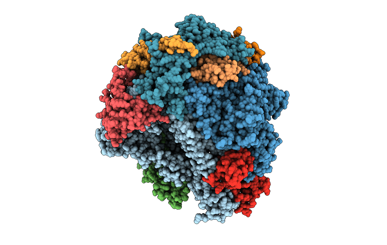 2R7Z image