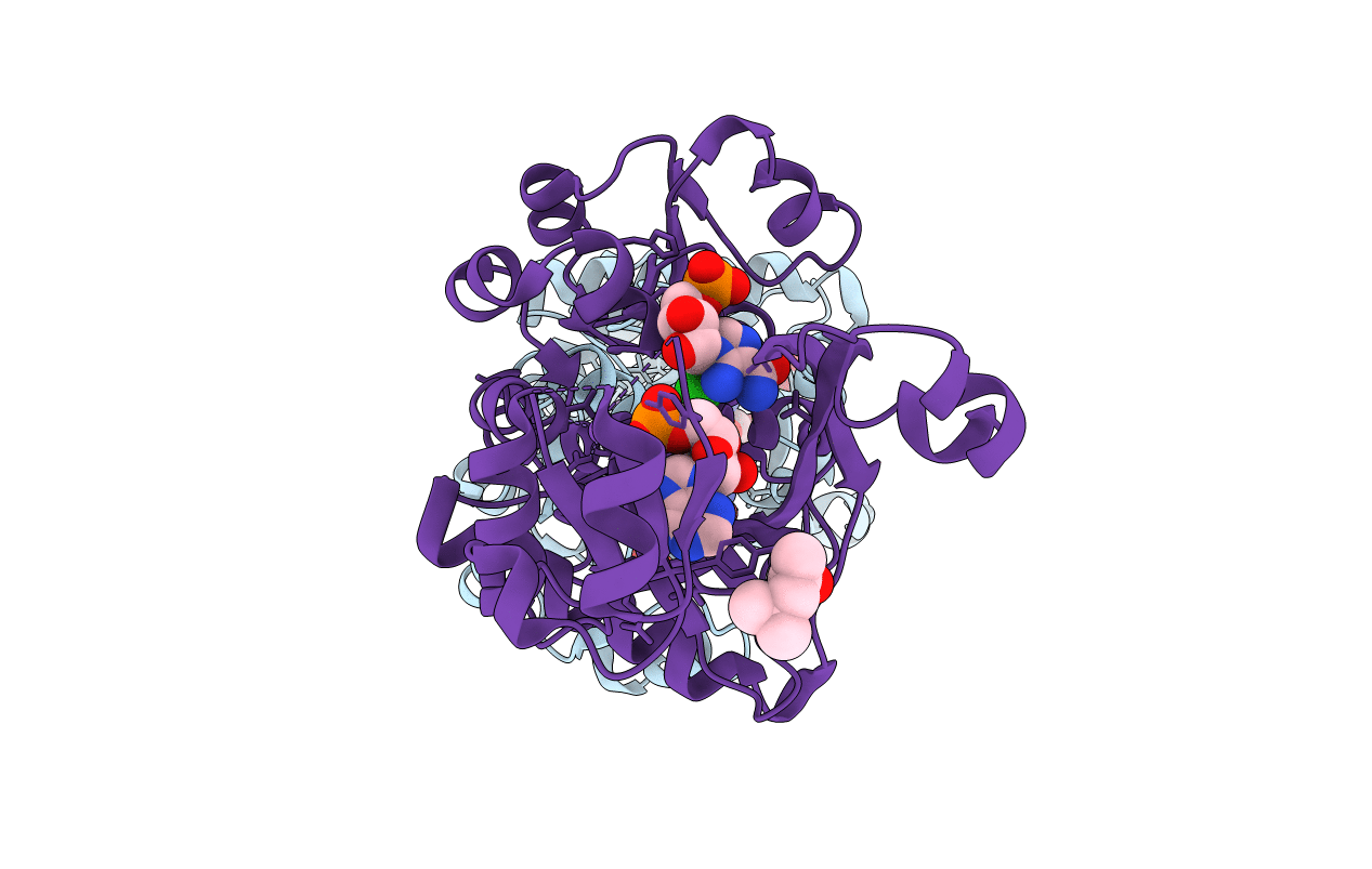 2R84 image