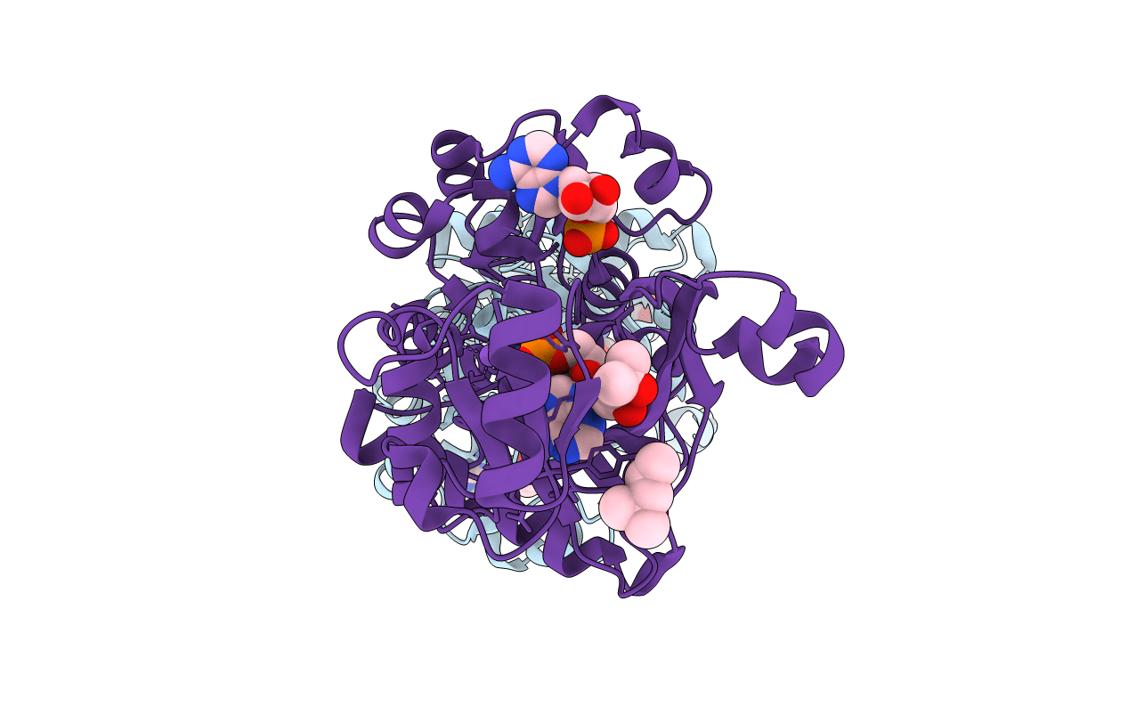 2R85 image