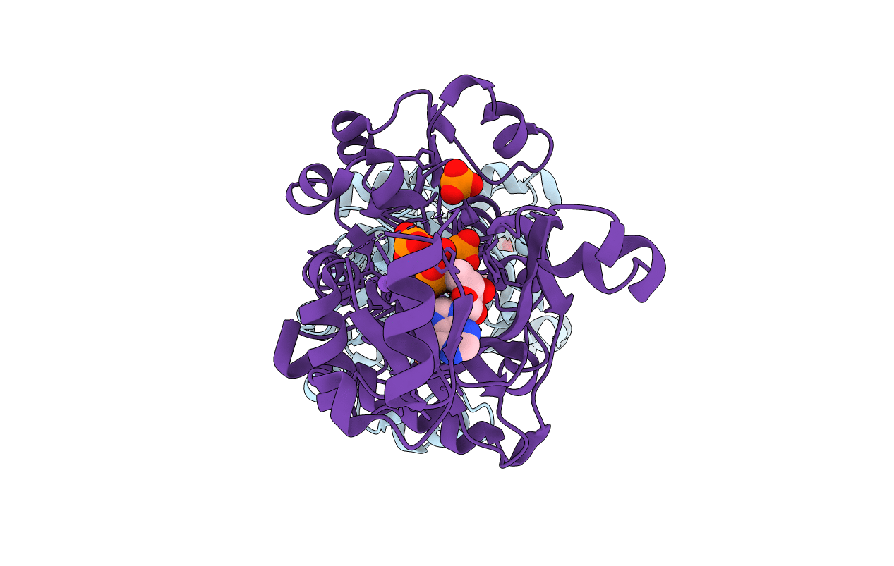 2R86 image