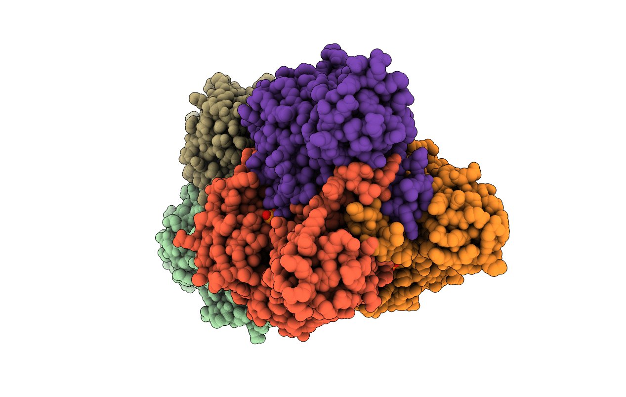 2R87 image