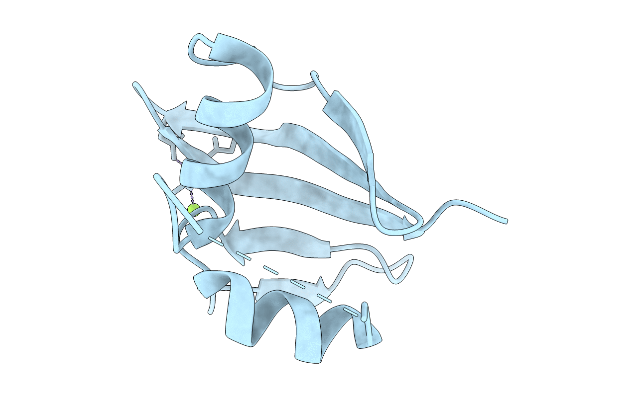 2R8D image