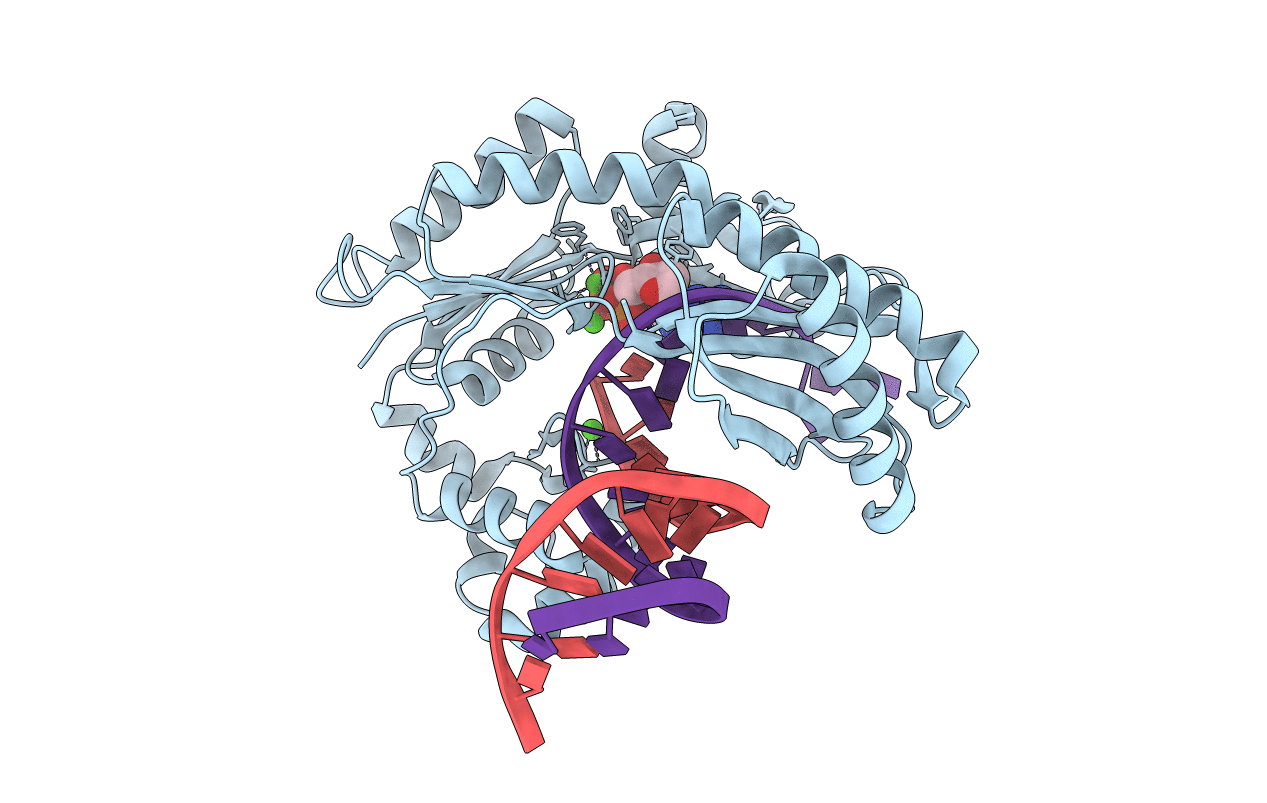 2R8G image
